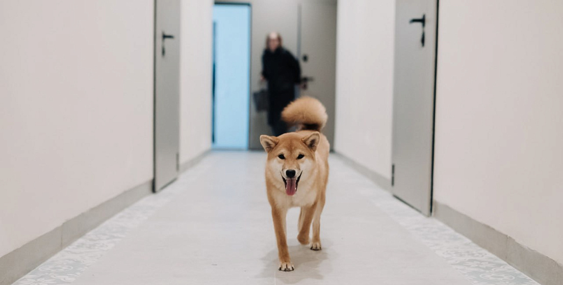 Поздравляем наших первых резидентов Кипрея.Квартиры!